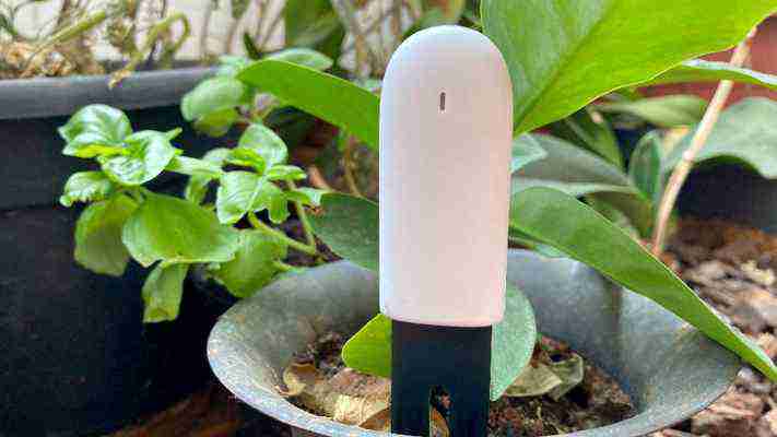 Sensor da Xiaomi: 'ajuda no cuidado com plantas, mas queria mais funções'